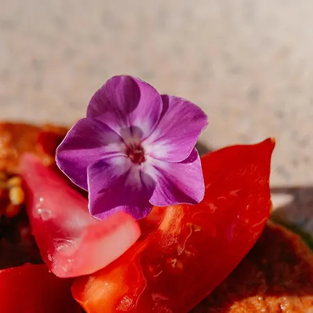 Malomerdo Panzio Bed & Breakfast *