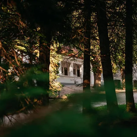 Bed & Breakfast Malomerdo Panzio *